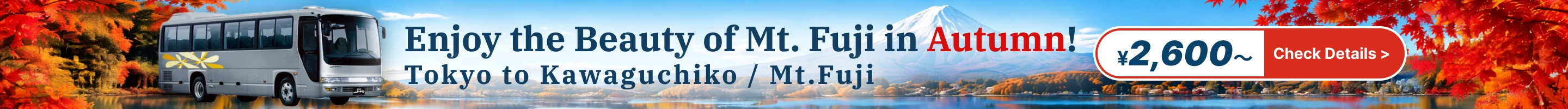 Tokyo to Mount Fuji