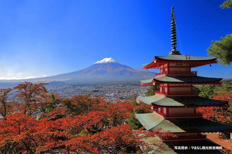 Mt.Fuji & Arakura Sengen Shrine／Until 2025