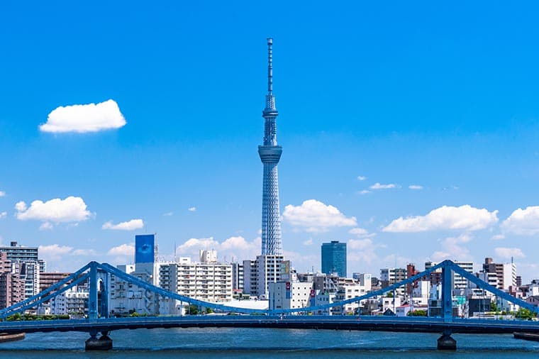 PANORAMIC TOKYO | full-day Tokyo tour by Hybrid Bus／Until 2025
