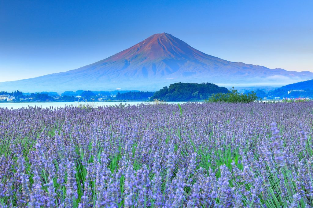 Mt. Fuji view